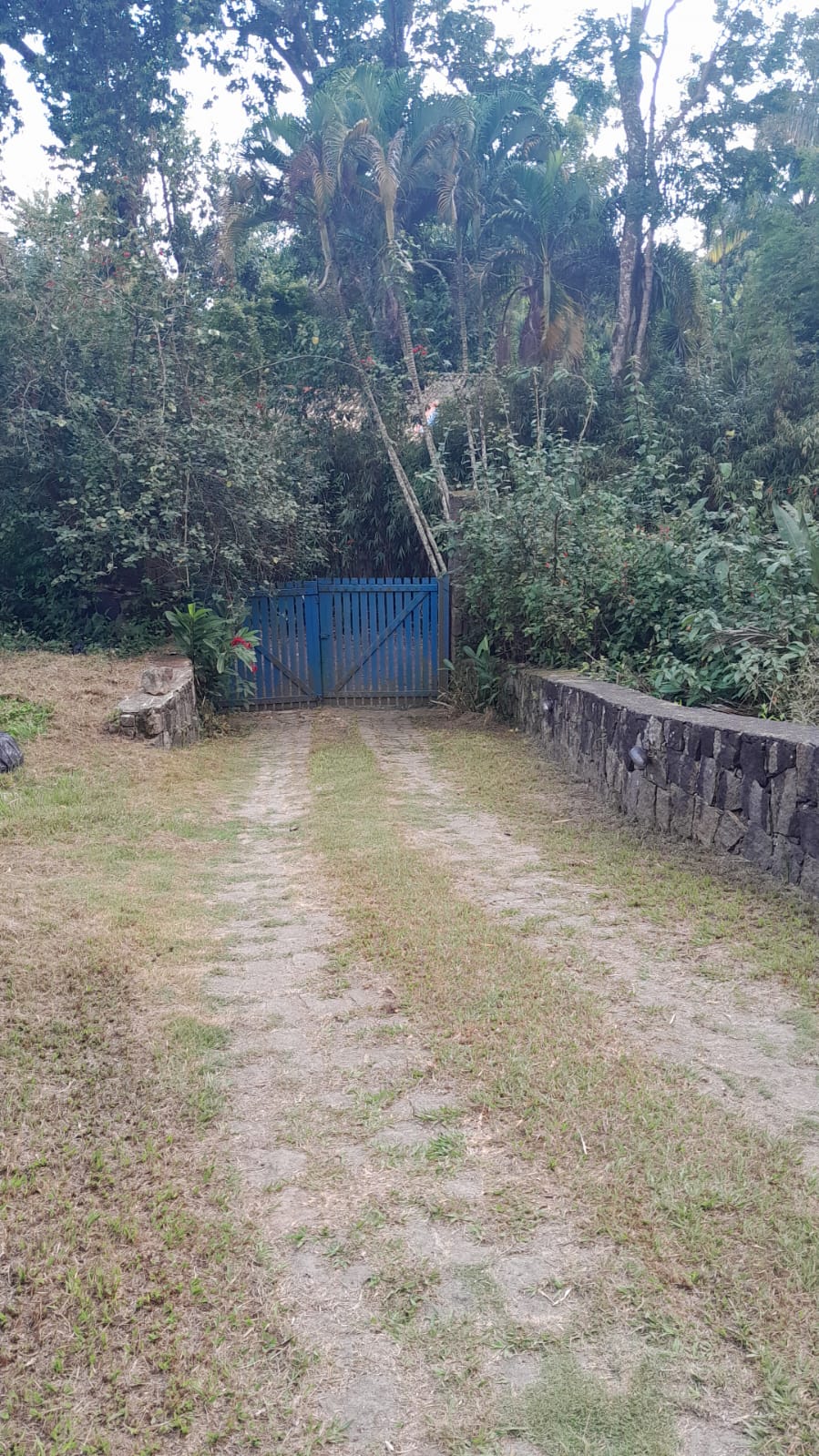 Galeria CASA NO SUL DE ILHABELA — ESPAÇO, NATUREZA E TRANQUILIDADE