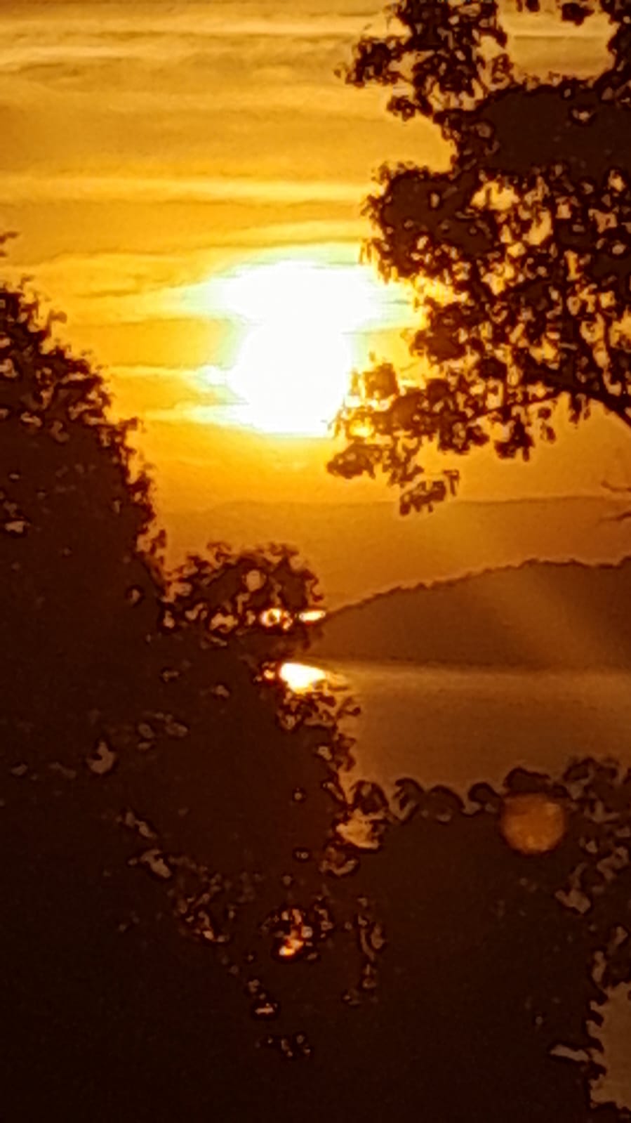 Galeria CASA NO SUL DE ILHABELA — ESPAÇO, NATUREZA E TRANQUILIDADE